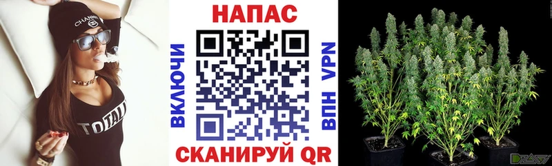 Продажа наркотиков Александровск А ПВП Меф ГАШ