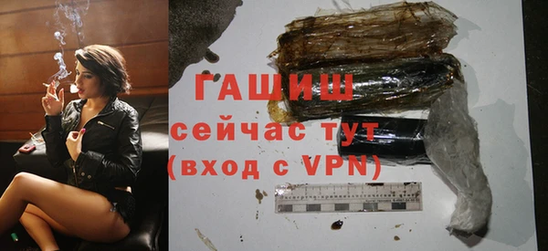 гидра Снежногорск