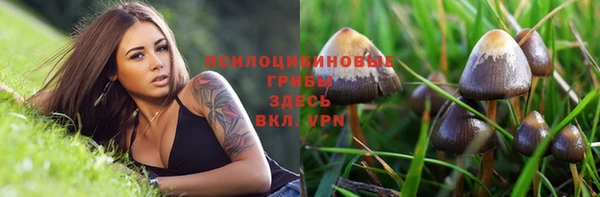 гидра Осташков