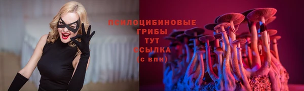 гидра Осташков