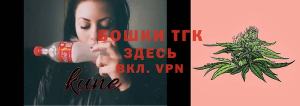 СК Няндома