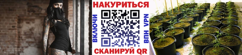 даркнет сайт  Александровск  Бошки Шишки план 